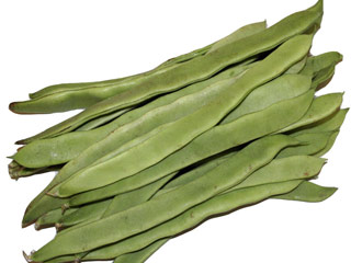 秋扁豆和豆荚