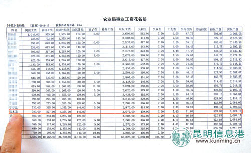 禄劝农业局原会计科长刑满照吃皇粮(组图)