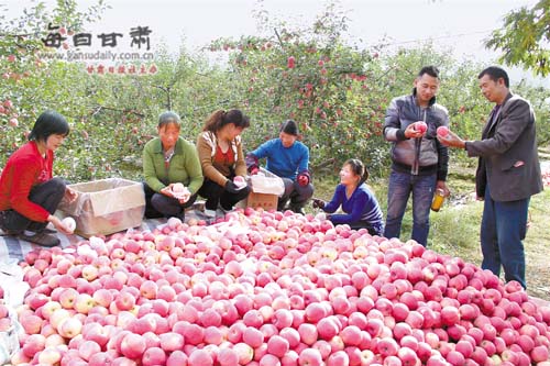 静宁县治平镇人口多少_静宁县界石铺镇新闻(3)