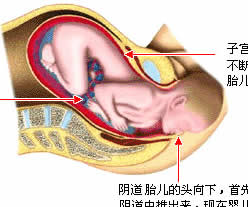 第一产程