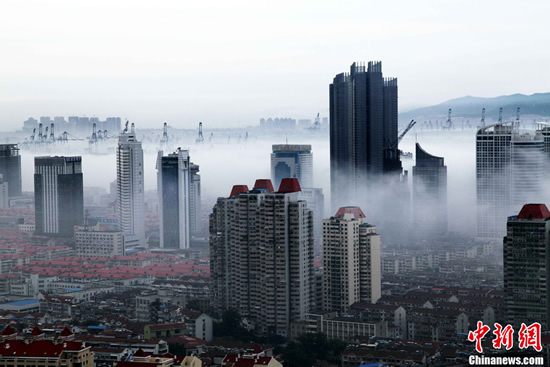 11月6日,哈尔滨市出现大雾天气,城区雾较小,城市周边雾大,一些高楼