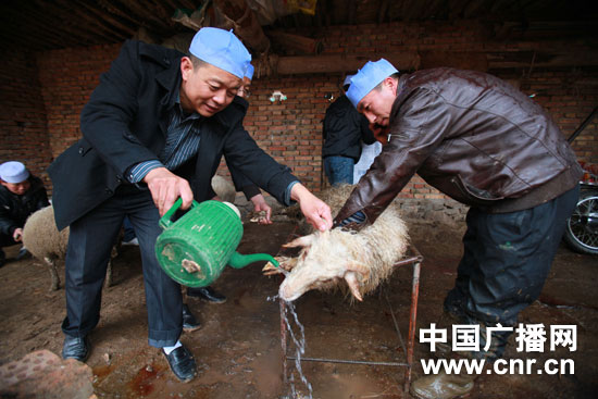 关于回族古尔邦节发言稿