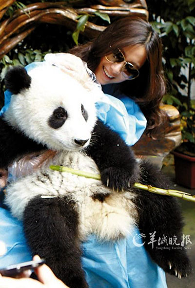 成都市大熊猫繁育研究基地旅游攻略