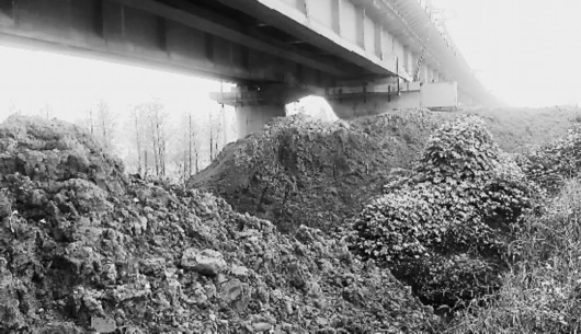 杭州:泛滥的建筑渣土居民怨声载道(组图)