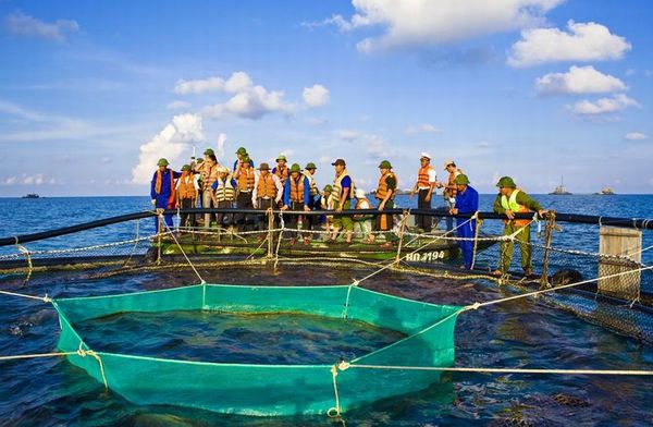 越南在南海态度强硬 媒体称实际控制超一切言