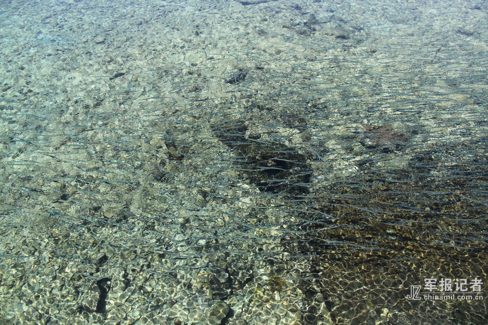 [高清]实拍南熏礁:南沙中的南沙(组图)