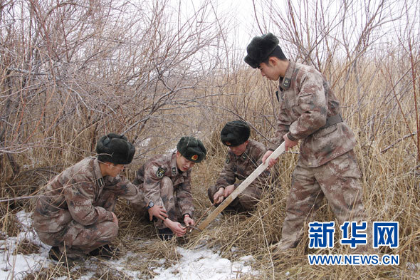 野狼有时会危及官兵的生命,但是官兵们也绝不允许坏人在此下夹子套狼