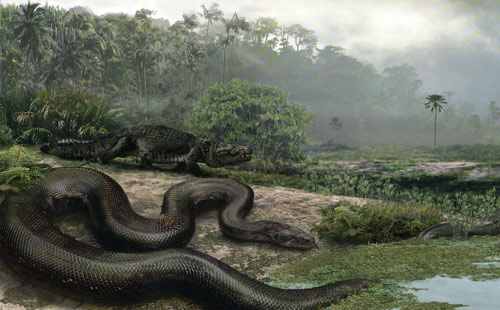 研究人员推测这条六千万年前的史前巨蛇,全长可达12