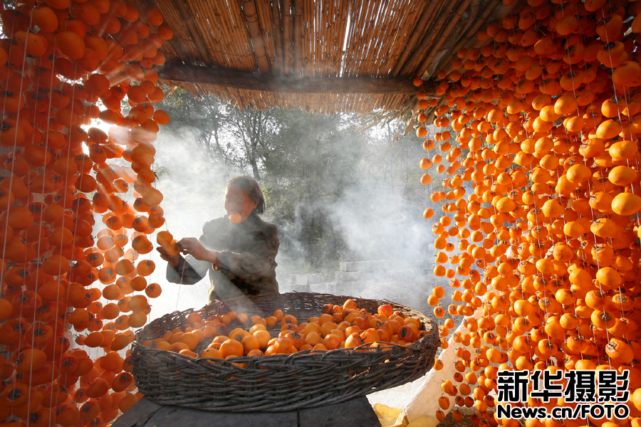 让镜头留住秋天的精彩 秋色任我拍获奖作品(