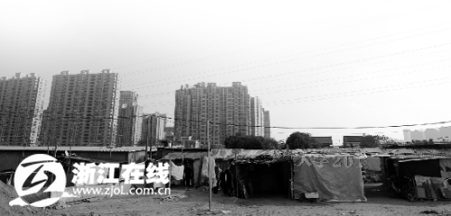 冬姓人口_人口普查(2)