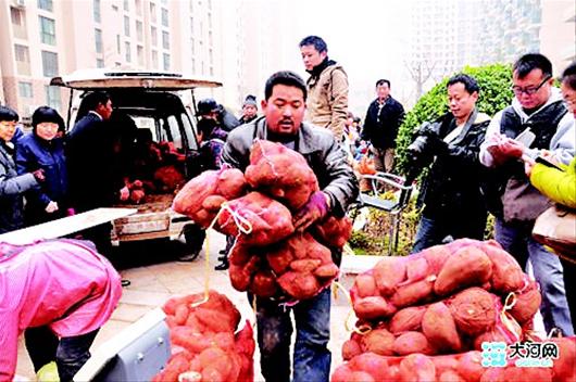"萝卜哥"卖红薯忙得来不及挖(图)