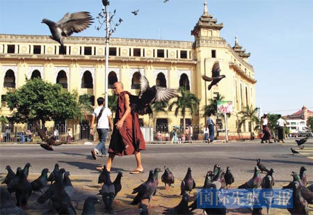 缅甸城市广场上的僧侣和鸽子。