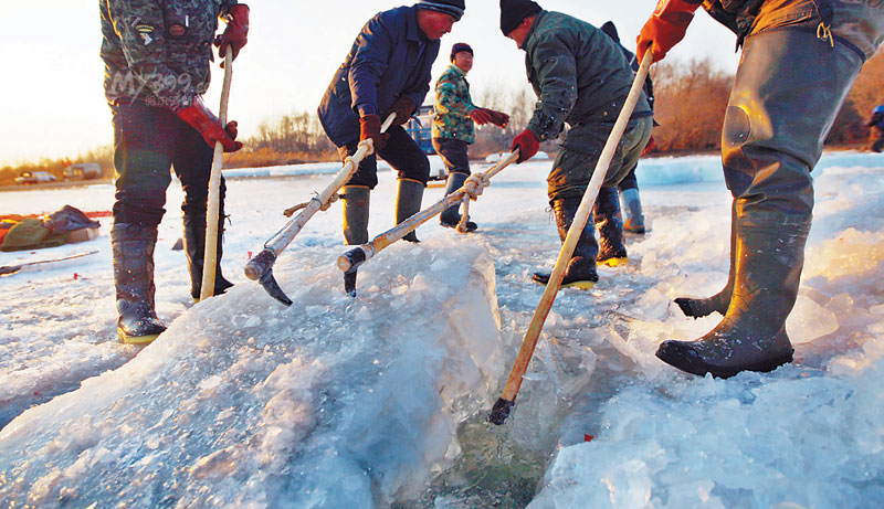 今冬哈市首次规划化采冰 私采按盗窃水资源处