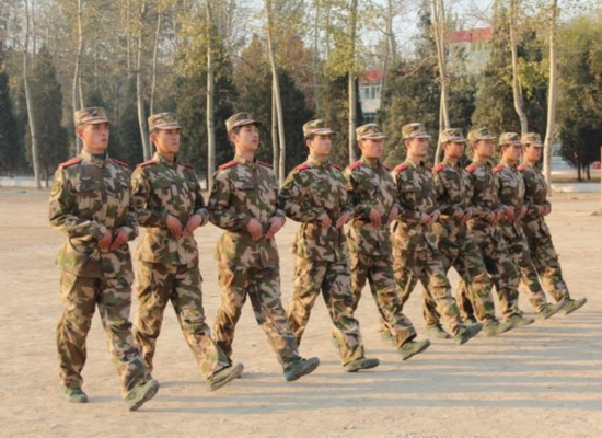 近日,武警北京总队七支队的训练场上活跃着一支"特殊"的训练队伍.