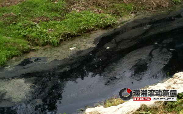 长沙黄兴镇太平村井水污染续:建议选择自来水(组图)