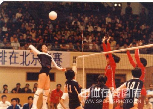 组图:郎平职业生涯回顾 "铁榔头"生日快乐!