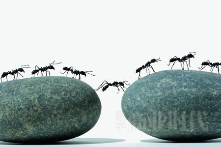 转圈,无论人们多么努力,都是白费力气   第二序变革:则是要跳出圈子