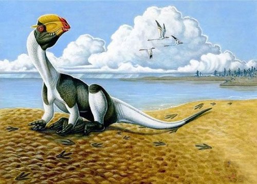 新遗迹化石表明恐龙休息方式与姿势接近鸟类