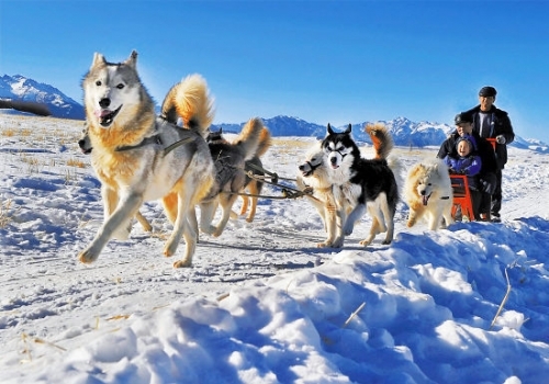 別樣感“凍”特征冰雪游