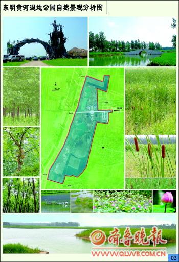 东明两湿地公园通过评审(组图)