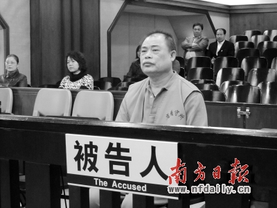 电白杨光亮图片