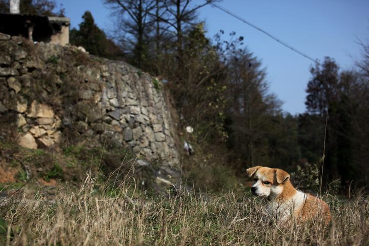 梅岭初冬:实拍安详的山村生活(图)