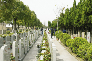 "嘉定"墓地竟在江苏太仓(图)