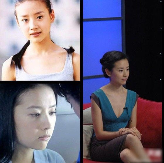 董洁陈妍希刘诗诗 盘点娱乐圈柔美耐看系美女(组图)