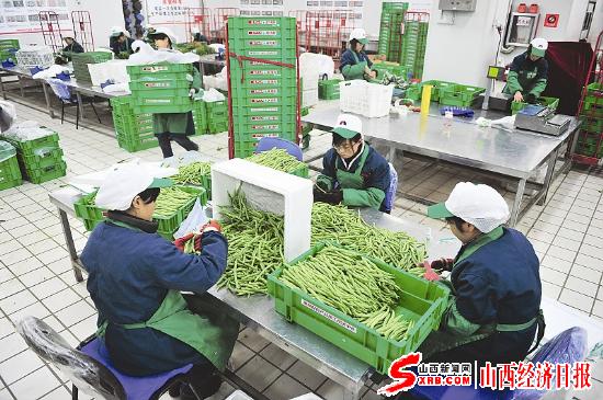 清徐县一农副产品物流配送中心工作人员包装蔬