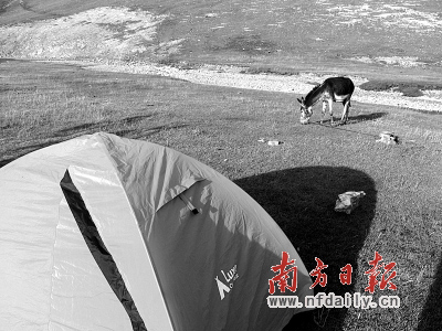 香港阿凡提 和我的驴友一起驴行天下