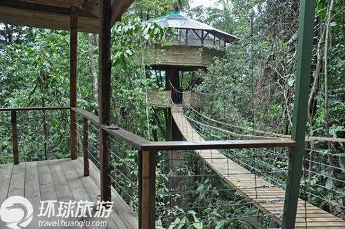 做一只林中的自由鸟 走进热带雨林树屋村