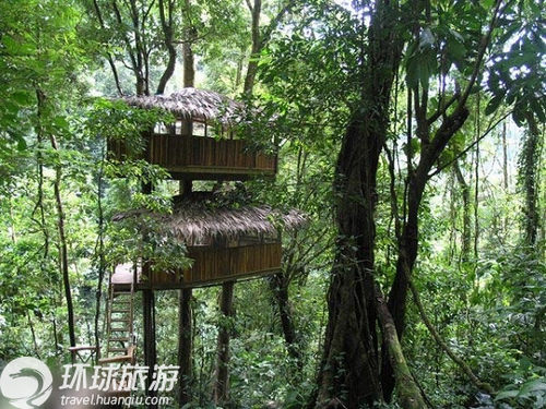 做一只林中的自由鸟走进热带雨林树屋村