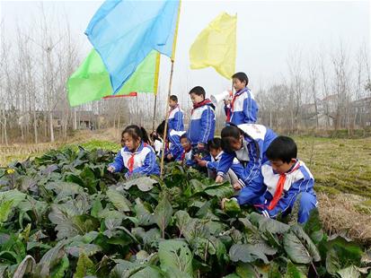 图文:汉川市西江乡中心小学开展走出校园,走进