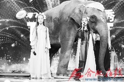 雨林姐妹大象伴舞 安徽大姐激情打鼓(图)
