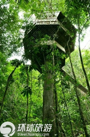 走进热带雨林的"树屋村"(组图)