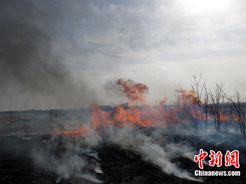 12月24日，郑州市花园口村北黄河湿地自然保护区部分地区遭到放火烧荒。中新社发 曹巍嵩 摄 CNSPHOTO