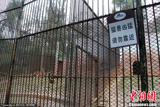 12月27日，安徽芜湖，动物园里原来关逃脱老虎的笼舍。CFP视觉中国