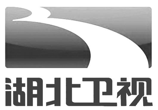 湖北日报讯 (记者别鸣)中国心,世界观,蓝白两色logo,新年元旦起湖北