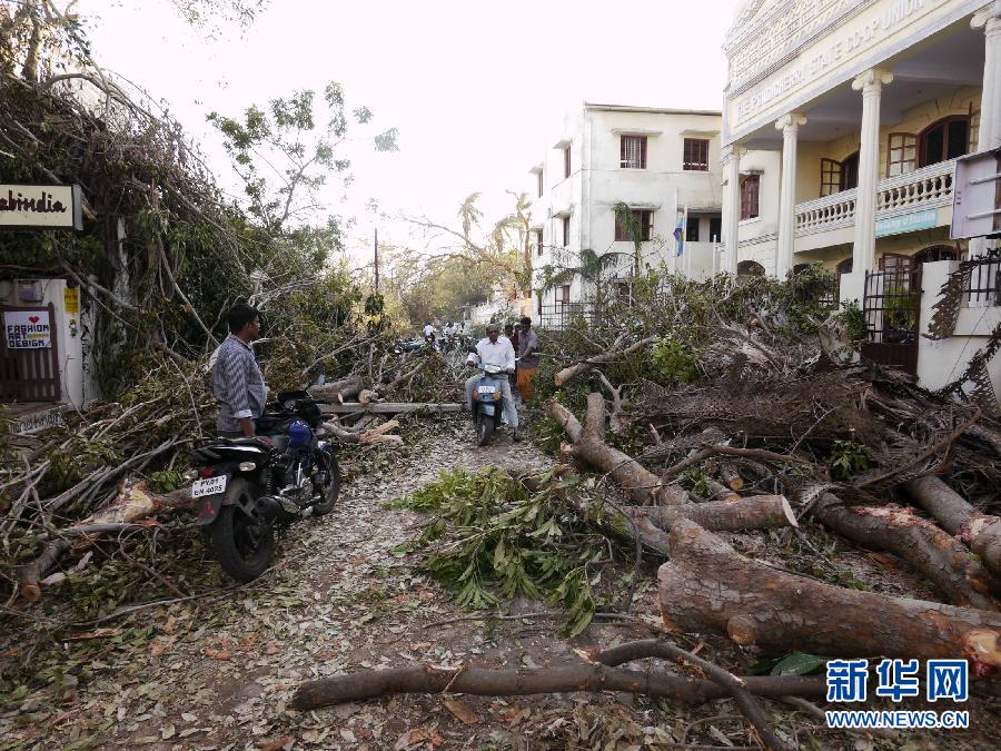 印度庞第皆瑞遭受台风袭击损失严重 旅游业受