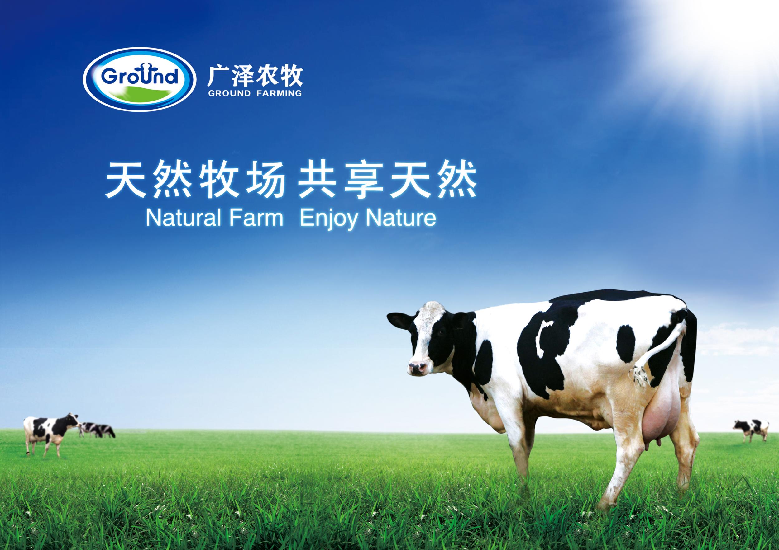 月的吉林省乳业集团广泽有限公司(以下简称广