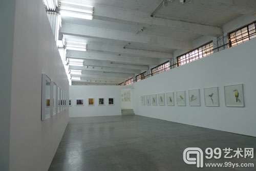 《十年一觉——常青近坐展》在上海艺博画廊举办1(组图)