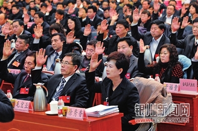 参会代表举手表决 记者安稳 郎凯 摄