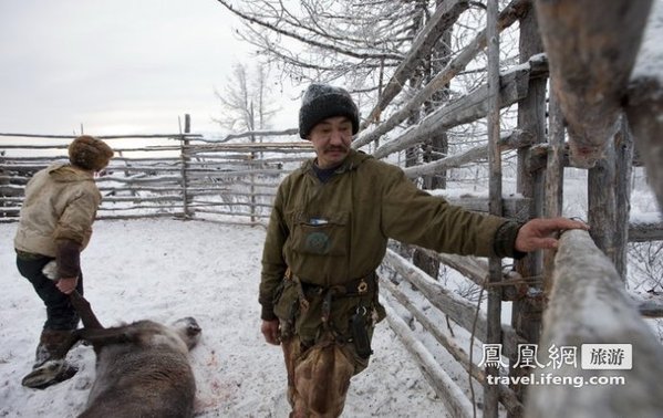 茹毛饮血的俄罗斯人 血腥的海狸火锅生吃驯鹿