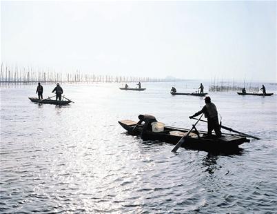 楚天都市报讯 图为：梁子湖上的渔民