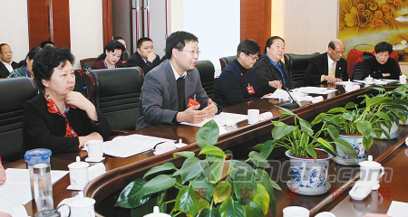 政协委员们为陕西发展建言献策。 记者刘珂 实习生柴僅悳 摄