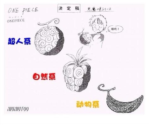 海之秘宝恶魔果实详解(组图)