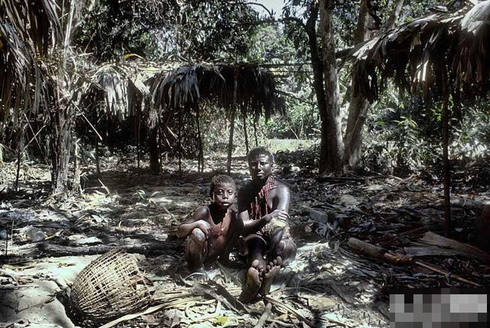揭秘印度洋安达曼群岛上遭辱的世界最原始部落(图)