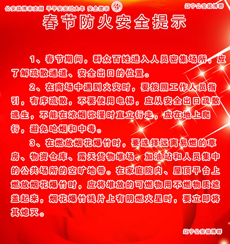 辽宁警方在人民微博刊发春节安全防范妙招_首