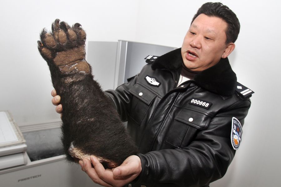 重庆警方机场截获10只熊掌 每只都从脚关节处