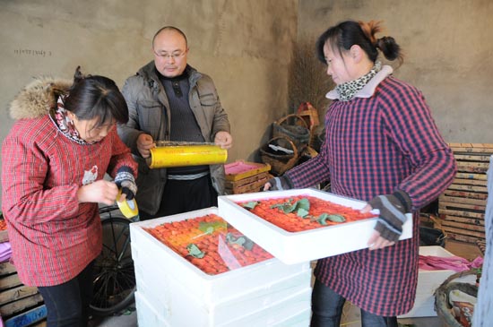 大年三十,草莓商人仍然在忙活,商人魏红东中在包装草莓 人民网记者